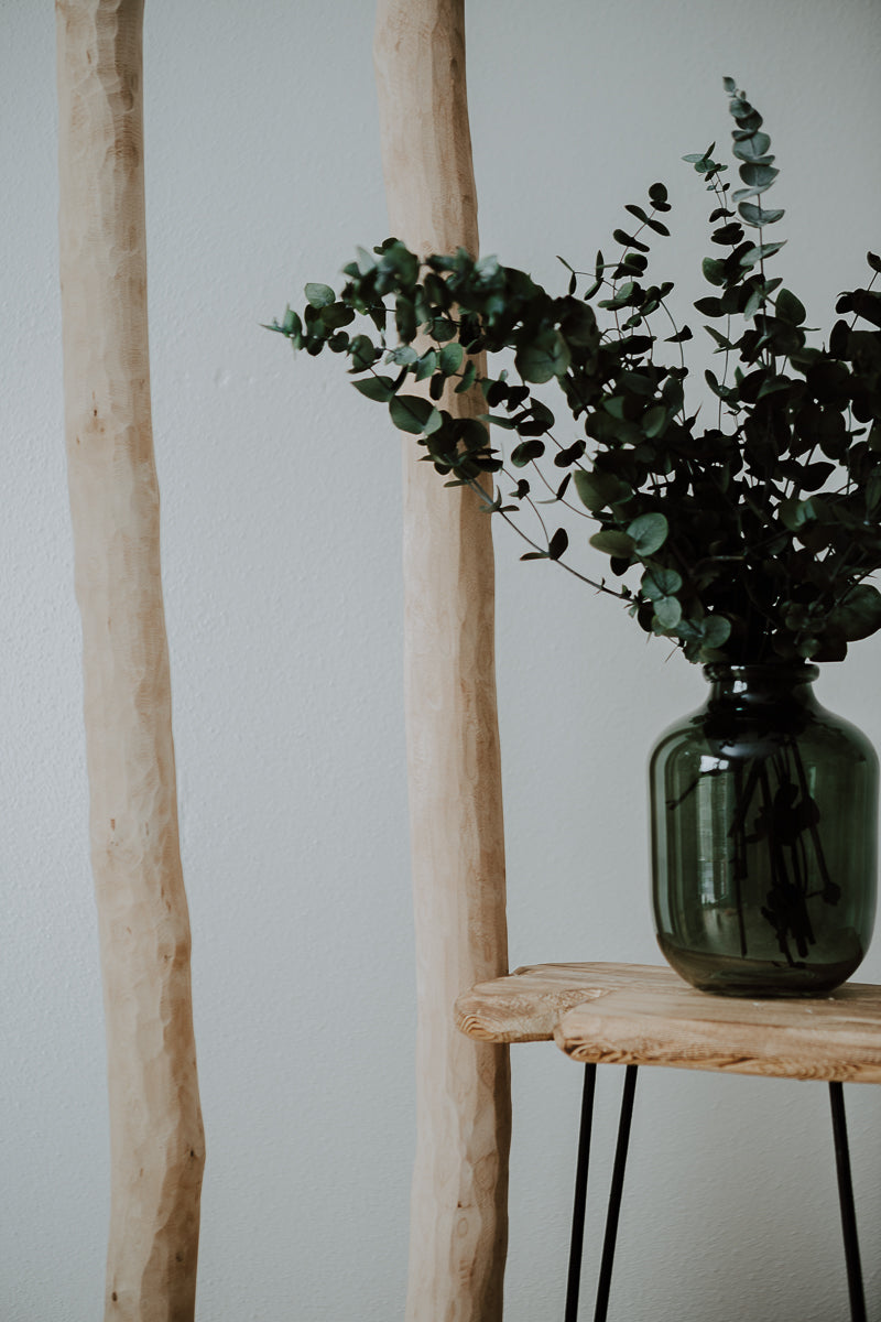 Birkenstamm entrindet