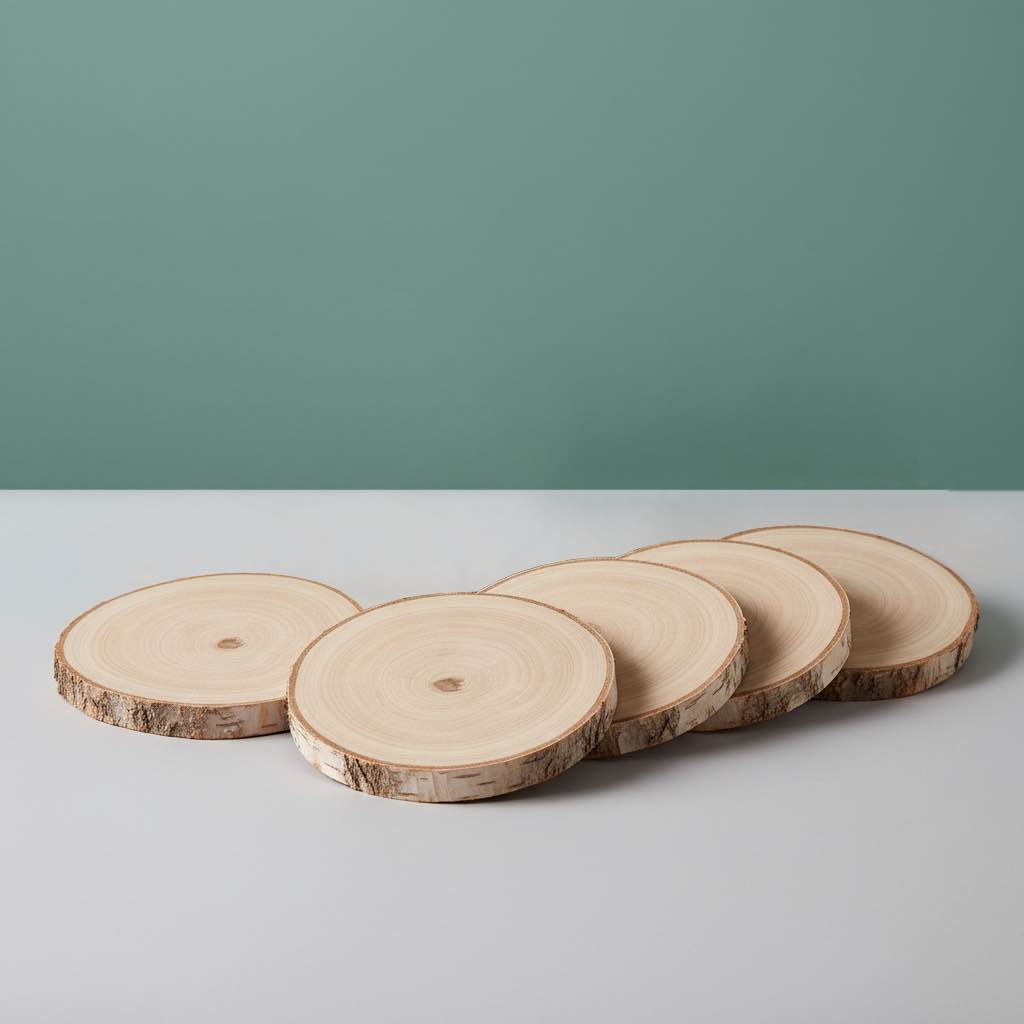 Galeriebild von fünf Birkenscheiben mit grünem Hintergrund. Produktbild von Baumscheiben