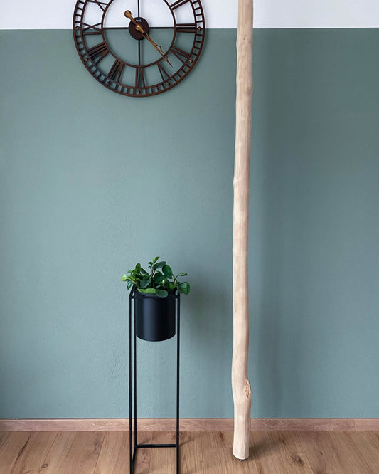 Birkenstamm entrindet als Dekorationsartikel für die Wohnung . Deckenhöhe bis 3 Meter möglich. Grüne Wandfarbe, Blumentopf mit Pflanze und Uhr zu sehen.