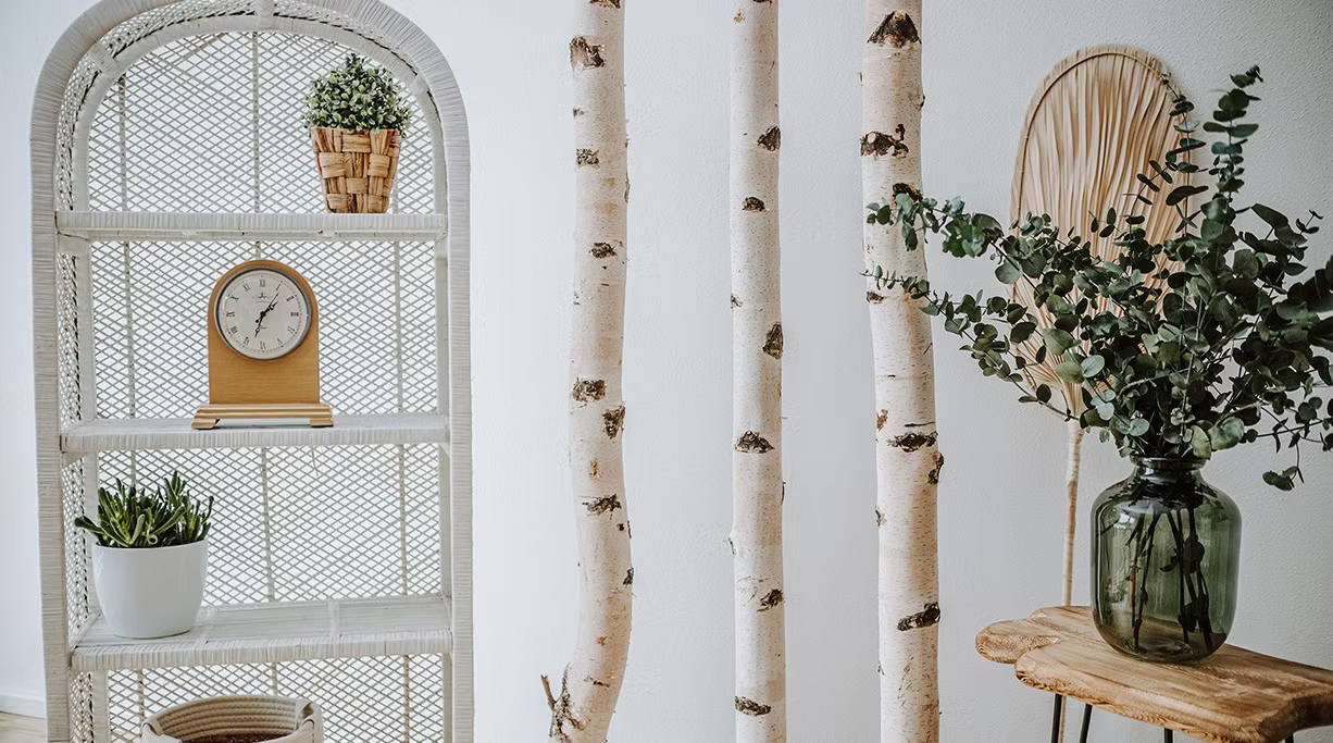 Birkenstämme als Raumtrenner bis 3 Meter mit weiteren Dekorationsartikel im Hintergrund. Im Regal sieht man Pflanzen, eine Uhr und Vasen.